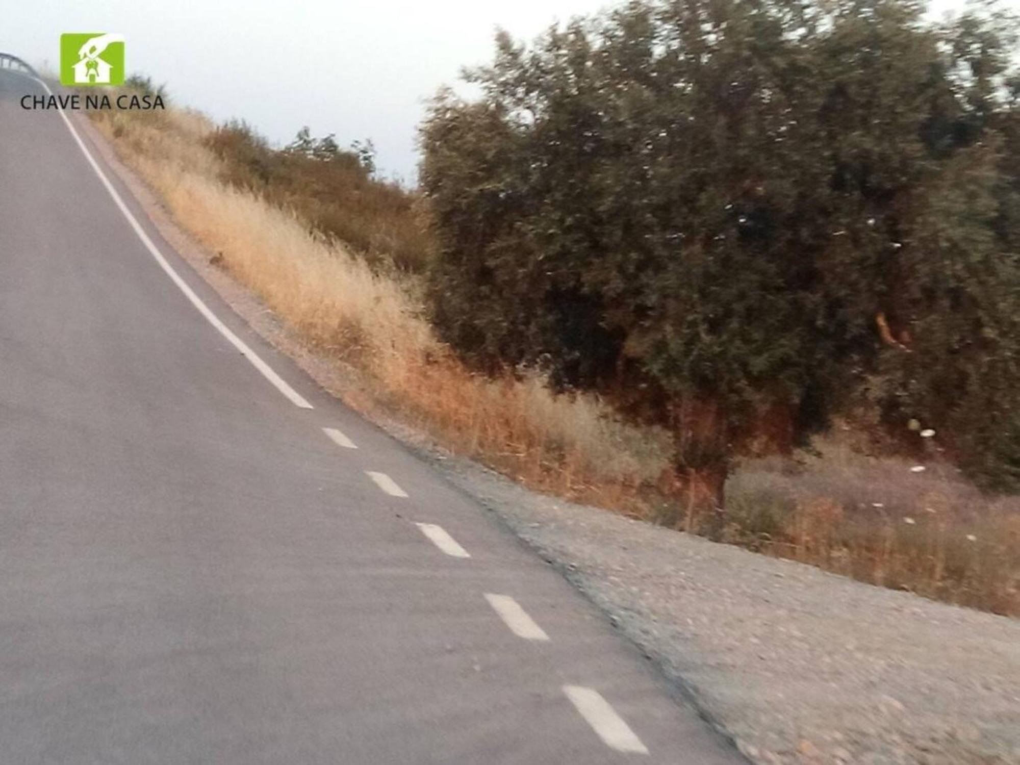 Farelos de Baixo Casa Das Bonecas מראה חיצוני תמונה